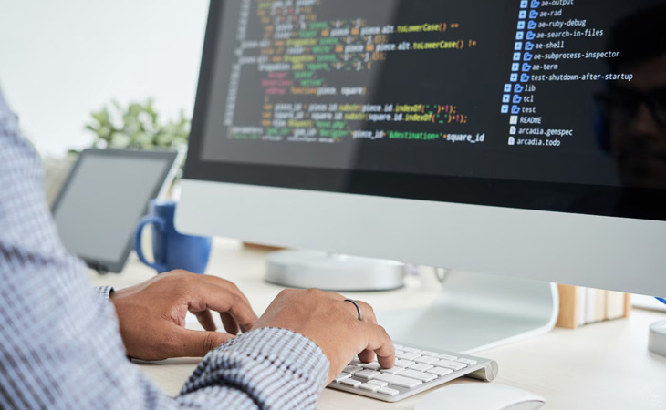 Software Development Service